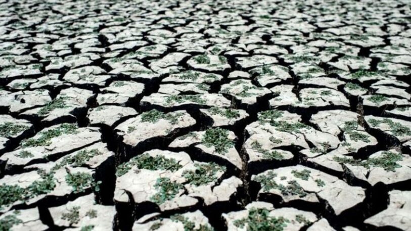 Qué es “Blob”, el preocupante fenómeno que contribuye a la sequía en Argentina