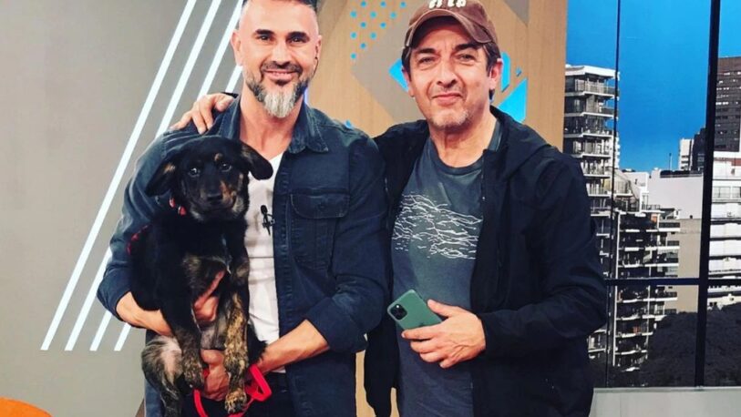 Ricardo Darín irrumpió en un programa para ayudar a un perro perdido