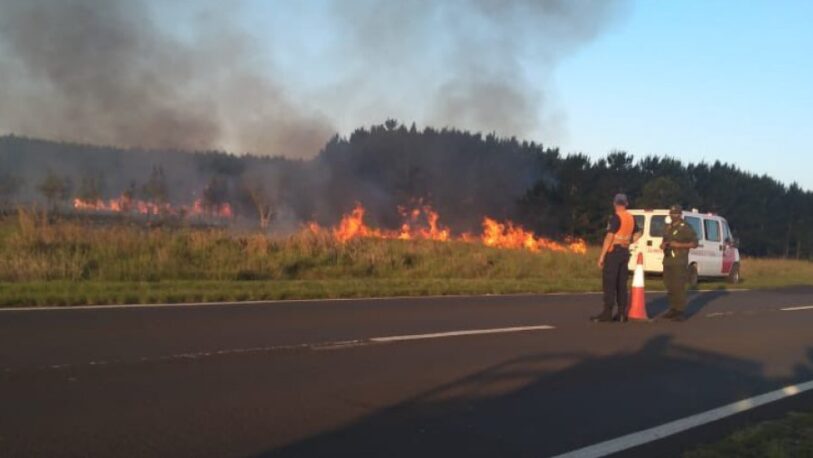 Corrientes: seis municipios afectados por incendios