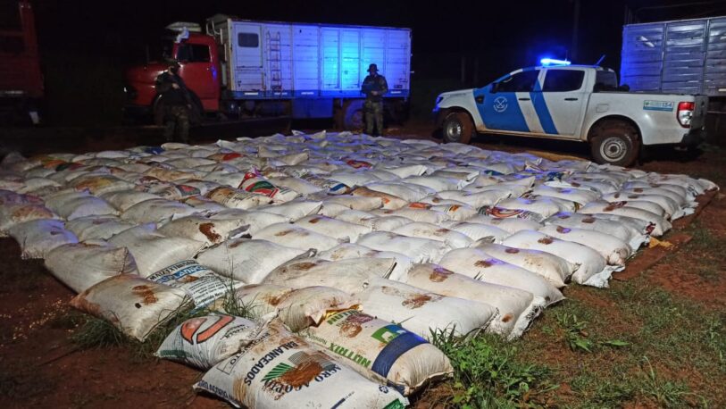 El Soberbio: secuestraron más de 17 toneladas de granos de maíz de contrabando