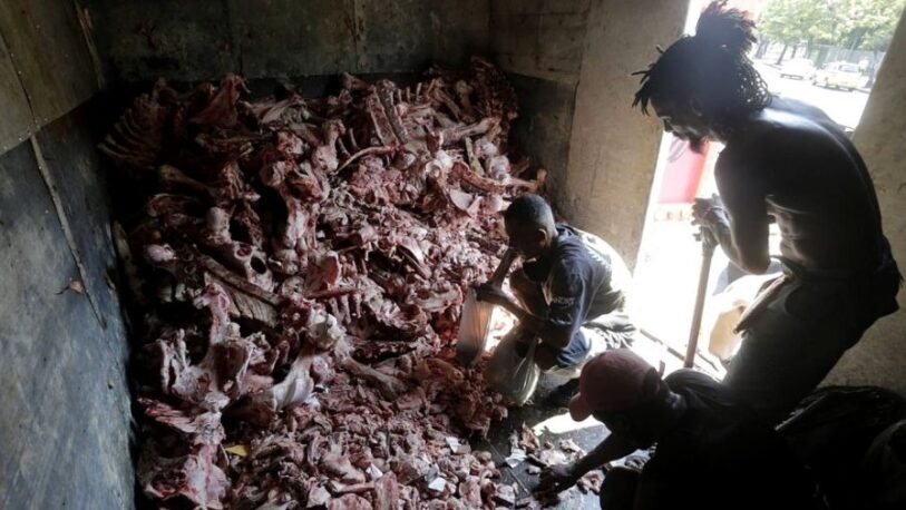 Impactante: en Brasil buscan comida entre cadáveres de animales
