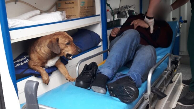 Se desvaneció en la vía pública y su mascota lo acompañó hasta la ambulancia