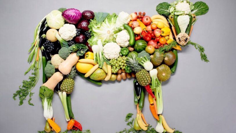Veganismo: términos para entender las distintas formas de alimentarse sin derivados animales