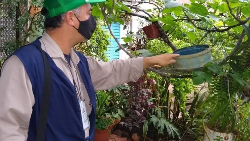 Aedes aegypti: solicitan a los vecinos incrementar las medidas preventivas