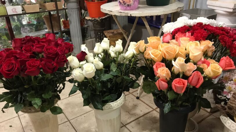 Comercios ofrecen diferentes ofertas y regalos de cara a San Valentín