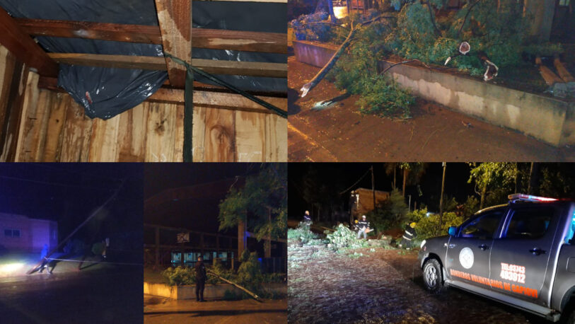 Temporal en Misiones: cortes de luz, árboles caídos y pérdidas de techos