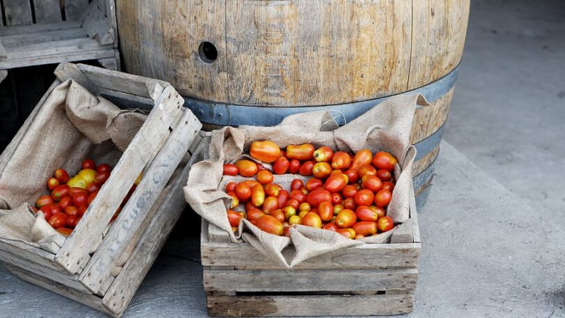 Por trabajo forzado, EE.UU. bloqueó importaciones de tomate de México