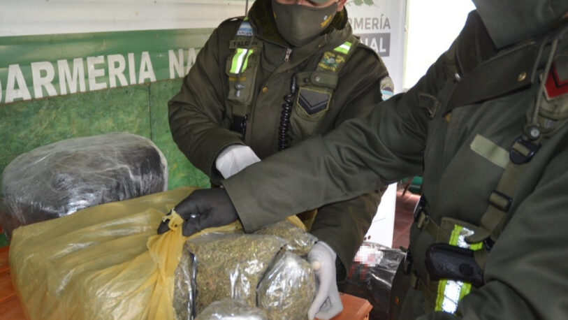 Decomisan más de 23 kilos de marihuana y detienen a dos personas