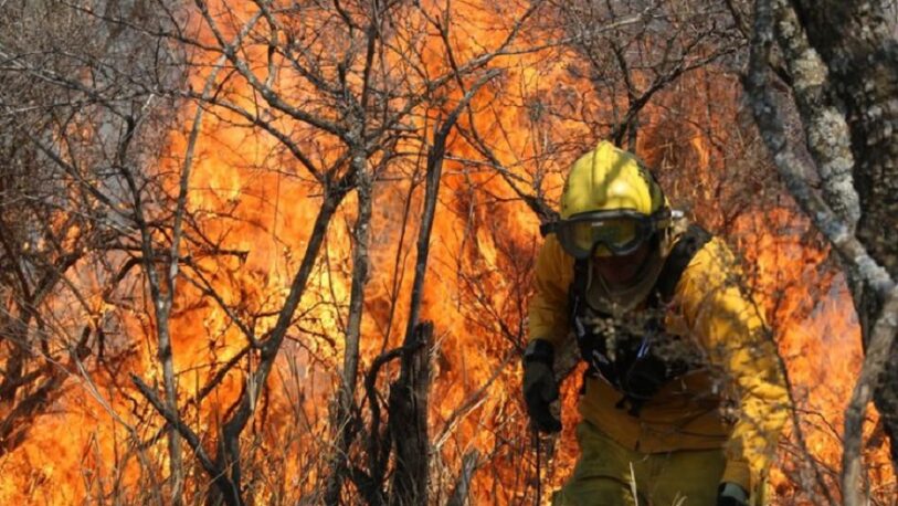 Hay varias provincias afectadas por focos activos de incendios forestales