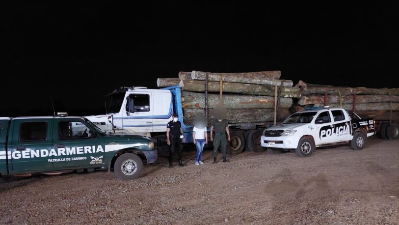 Secuestraron en San Vicente un camión con madera presuntamente robada