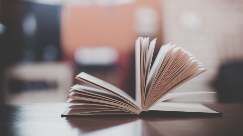 Este sábado se realizará la primera edición de la feria del libro “Posadas en Palabras”