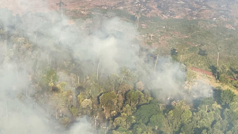 Incendios en Misiones: Afirman que en Andresito la situación es “muy preocupante”