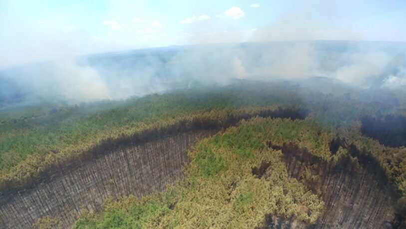 Juntos por el Cambio pide a la Nación informes sobre los incendios forestales en Misiones