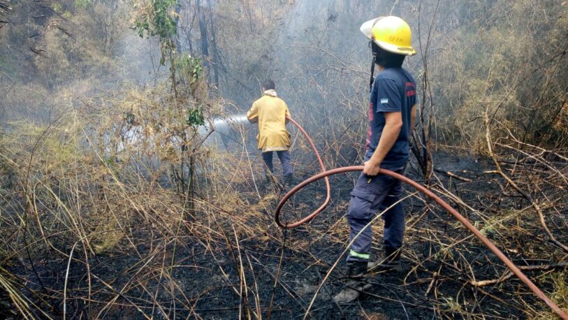 Continúa la lucha contra los incendios forestales en Misiones