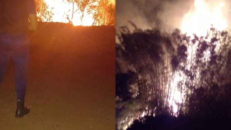 Sofocaron incendios de malezas en Corpus y Azara