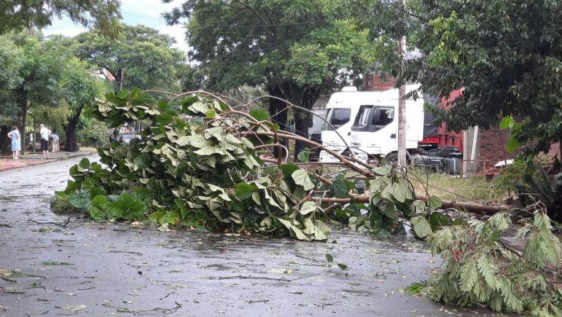 Varias localidades fueron afectadas por la tormenta