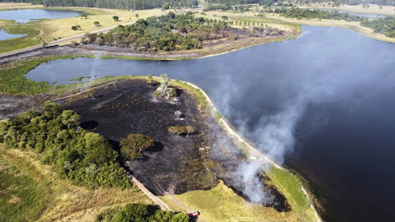 Corrientes: los incendios rurales ya afectan a 519 mil hectáreas