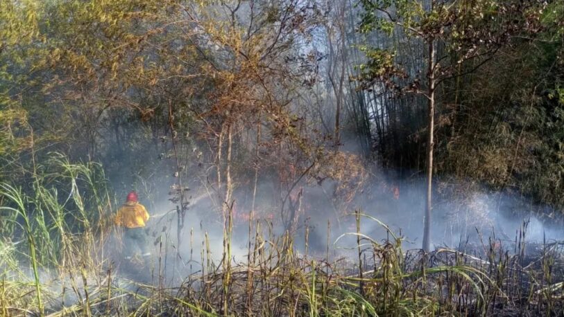 Incendios en Misiones: Hay seis localidades con focos activos