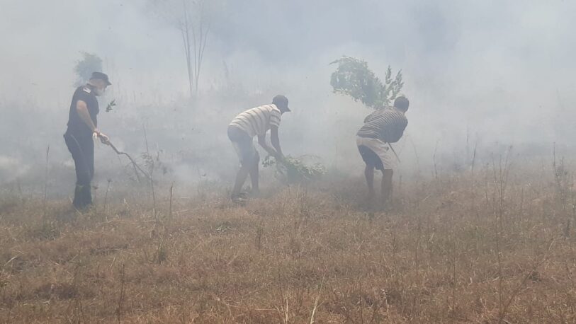 Todavía hay incendios forestales en Misiones, Corrientes y Río Negro