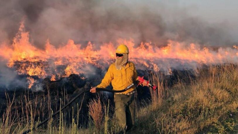 Corrientes: determinaron que 680 mil hectáreas fueron arrasadas por el fuego
