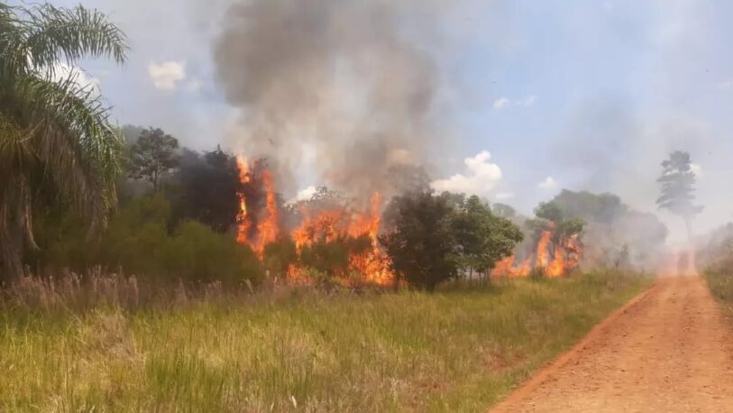 Nuevos incendios se registraron en la provincia y el riesgo es extremo