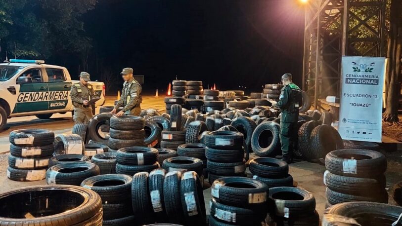 Decomisaron 328 neumáticos extranjeros que eran trasladados en un camión