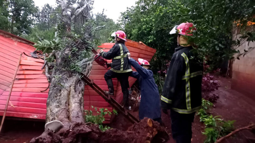 Voladuras de techos, árboles y postes caídos: Lo que dejó la tormenta en Misiones