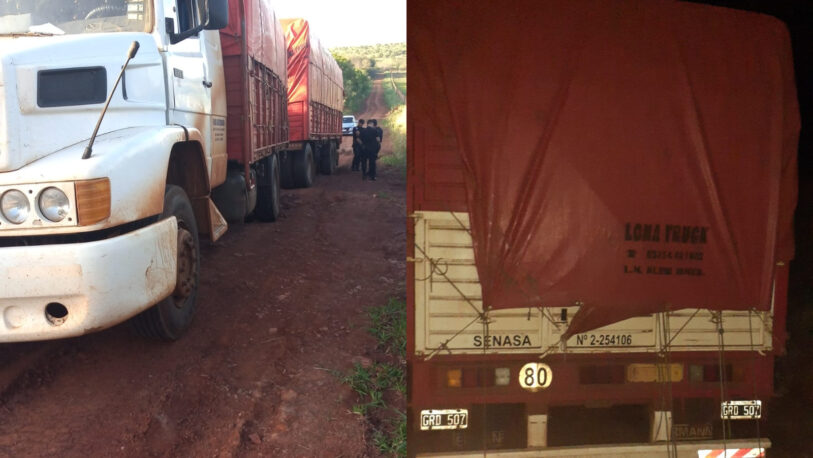 Interceptaron un camión con 50 toneladas de soja tras evadir un puesto fiscal