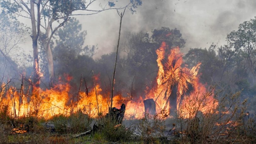 Un peón rural es el primer condenado por los incendios en Corrientes