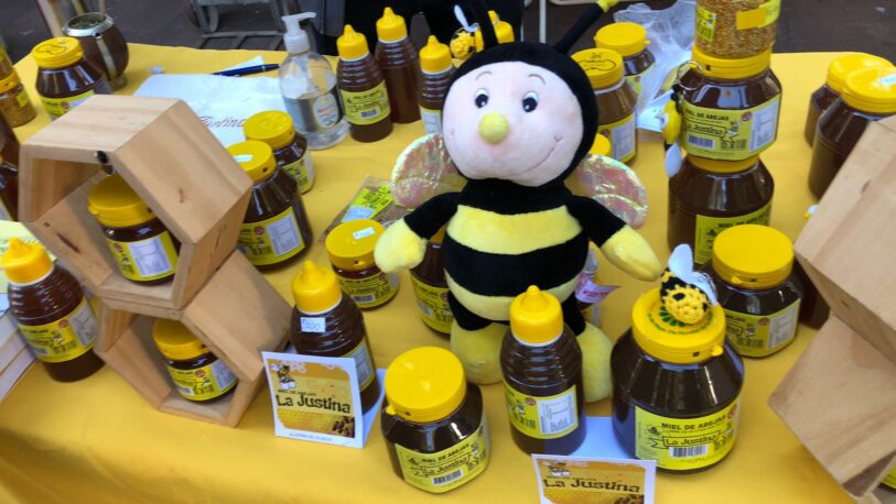 Destacan la importancia del consumo de miel y polen