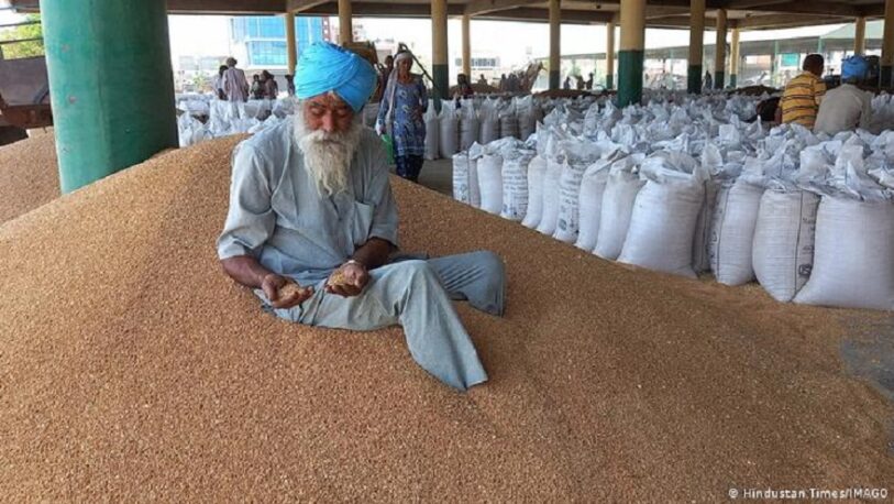 Por la suba global de precios, la India prohíbe la exportación de trigo