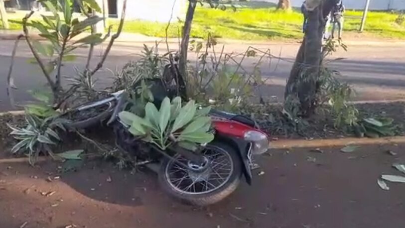 Despistó una moto y chocó un árbol del bulevar