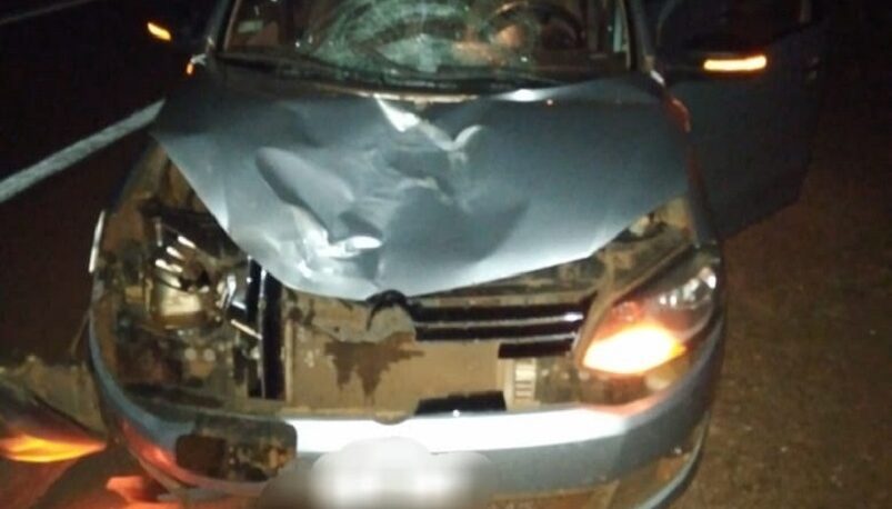 Camioneta atropelló a una adolescente mbya en Fracrán