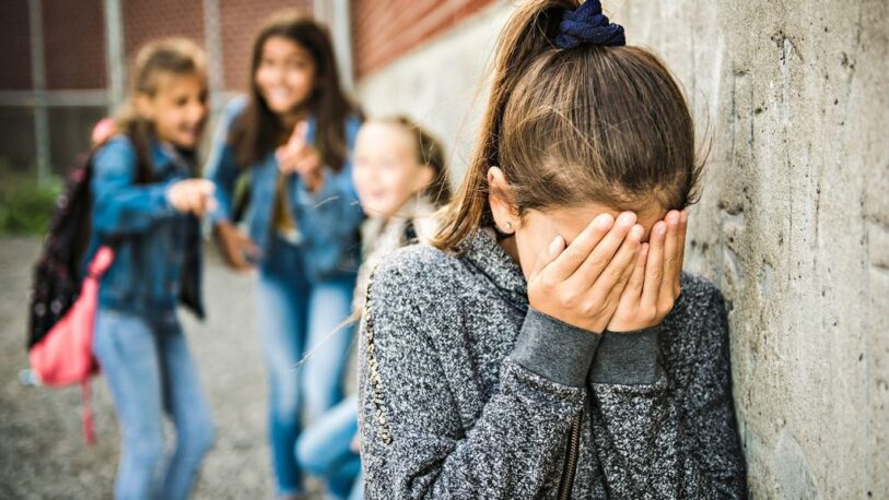 Bullying: “Las instituciones educativas tienen que tener la capacidad de saber abordar estos casos”