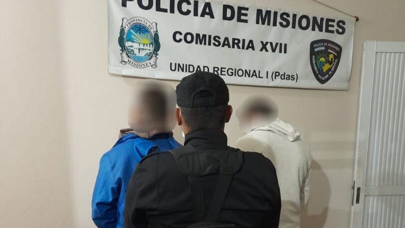 Detuvieron a tres jóvenes que intentaron robar en comercios de Posadas