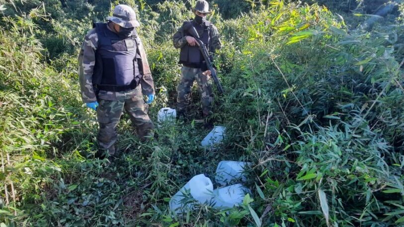 Secuestraron más de 50 litros de cocaína líquida en Puerto Rico