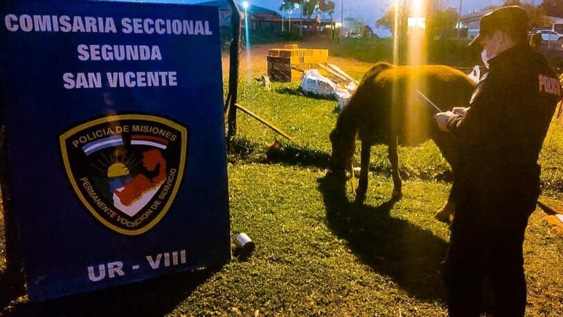 Encontraron un caballo robado en San Vicente