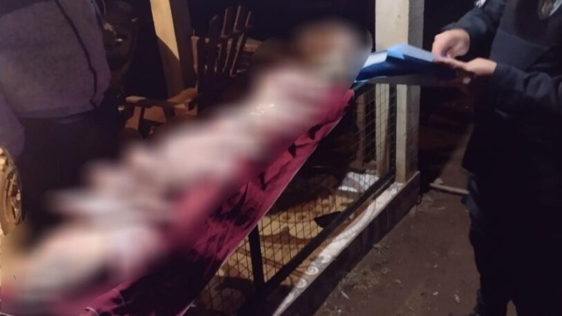 Secuestraron carne de cerdo tras un abigeato en San Pedro