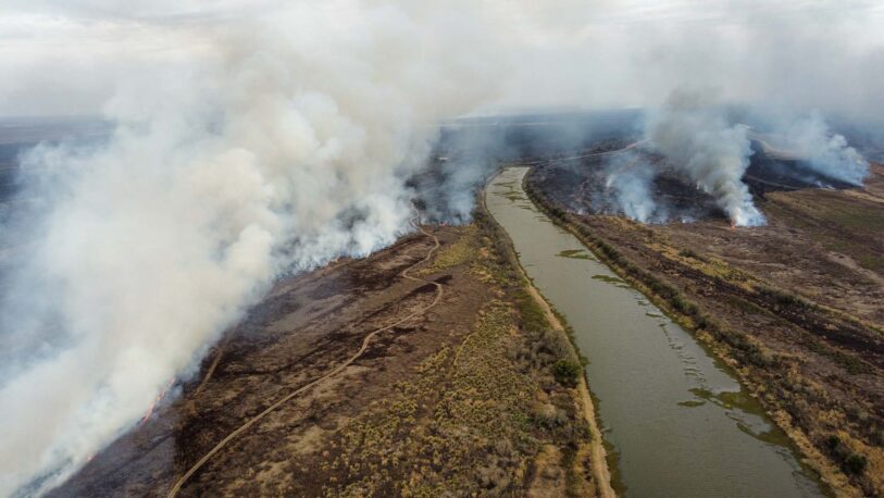 Delta del Paraná: Hay más de 30.000 hectáreas incendiadas y se incorporan más brigadistas