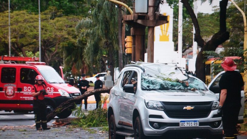 Cayó un árbol y aplastó el techo de un vehículo en avenida Mitre