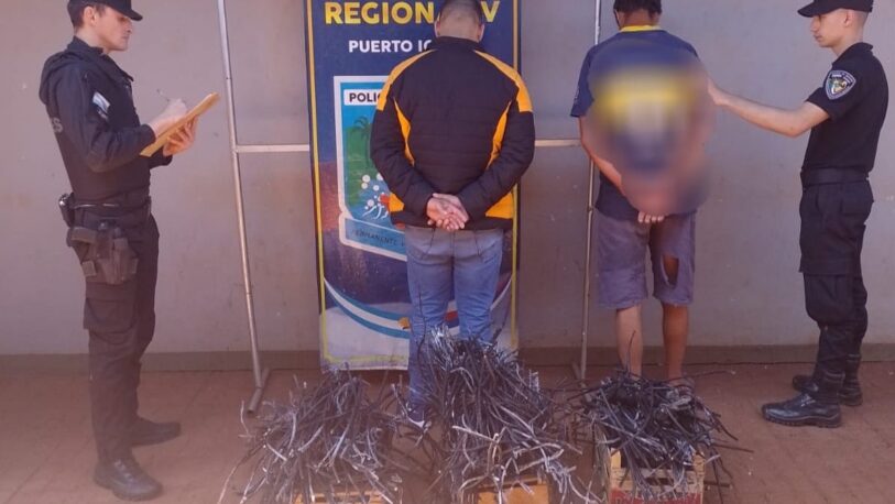 Andresito: Dos detenidos por el robo de cables y antenas a una empresa de comunicaciones