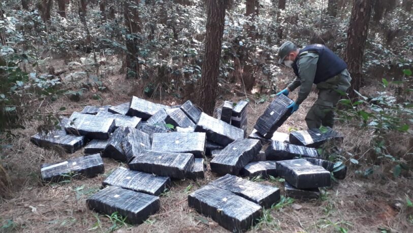 Secuestraron más de 700 kilos de marihuana abandonados en un pinar
