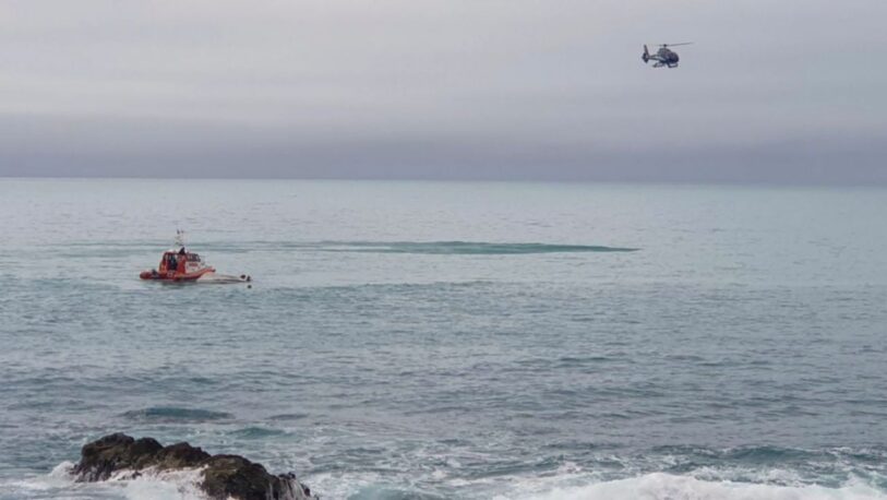 Nueva Zelanda: cinco muertos tras el choque entre un barco y una ballena