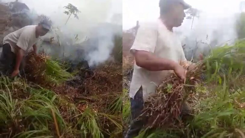 Productores de El Soberbio quemaron citronela ante la falta de asistencia