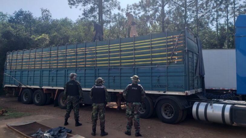 Secuestraron más de 100 toneladas de soja en Itacaruaré