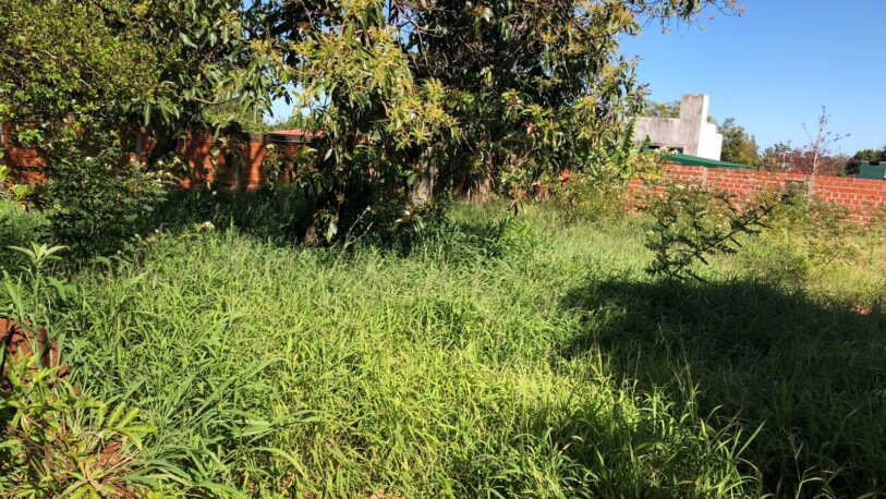 BºLos Álamos: preocupa a los vecinos un terreno privado abandonado