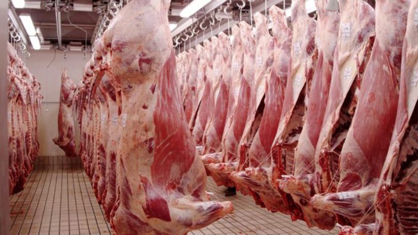 Las carnicerías ya no bajarán “la media res” para la comercialización de la carne
