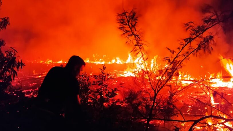 Se quemó un pinar de cuatro hectáreas en Mártires
