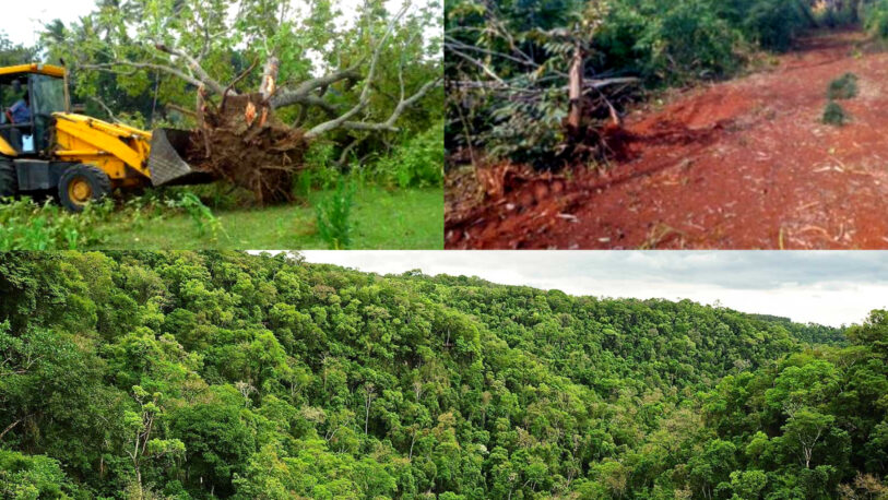 Corredor Verde: “Nos estamos quedando sin monte, sin agua y sin suelo productivo”