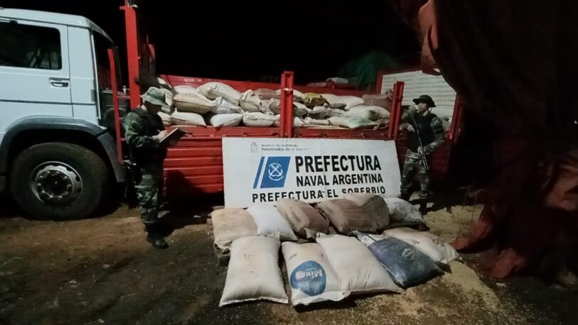 Secuestraron más de 6.000 kilos de soja y maíz en El Soberbio y Alba Posse